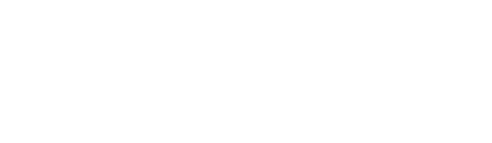 Pinpoint Logo-ADC-white-1